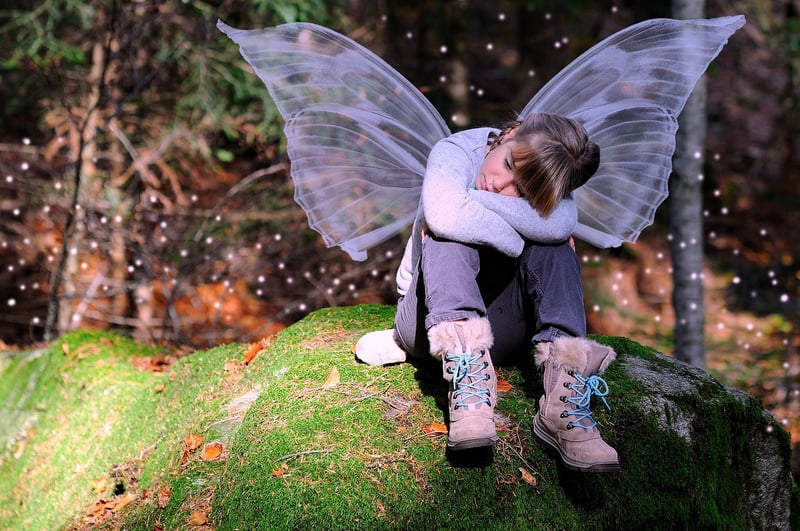 Fairy Wings
